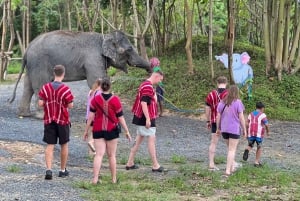 Experiência com elefantes com traslados e bufê de comida tailandesa