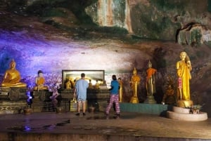 Entdecke Mangroven, James Bond Island und den Affentempel