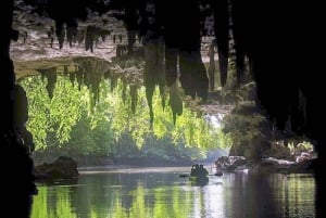 Entdecke Mangroven, James Bond Island und den Affentempel