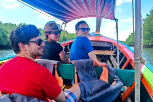 Explore Mangroves, James Bond Island, and Monkey Temple