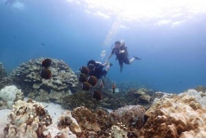 Explore Scuba diving at Racha Yai Island from Phuket