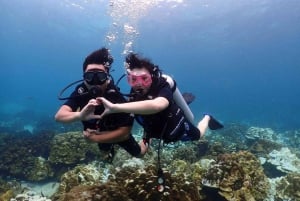 Explore Scuba diving at Racha Yai Island from Phuket