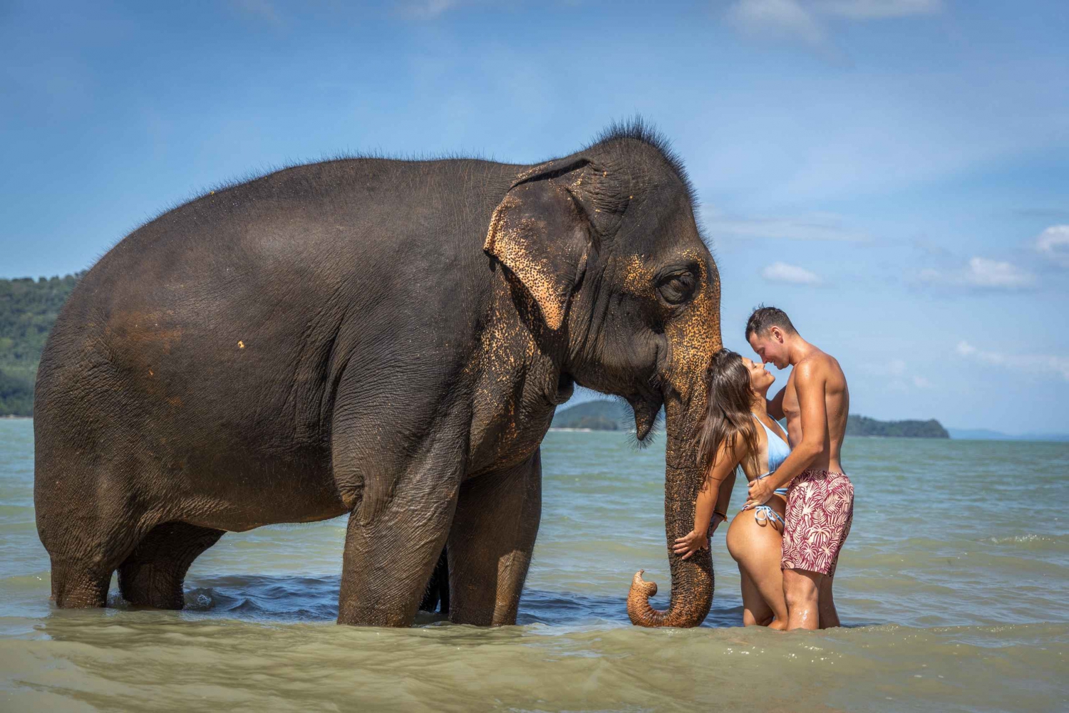 Alimente e brinque com o elefante em uma praia particular (1h30)