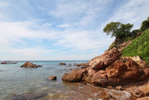 Desde Bangkok: Excursión de un día a la isla de Koh Lan - Una escapada a la isla