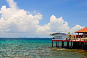 Desde Bangkok: Excursión de un día a la isla de Koh Lan - Una escapada a la isla