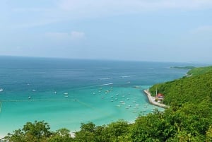 Desde Bangkok: Excursión de un día a la isla de Koh Lan - Una escapada a la isla