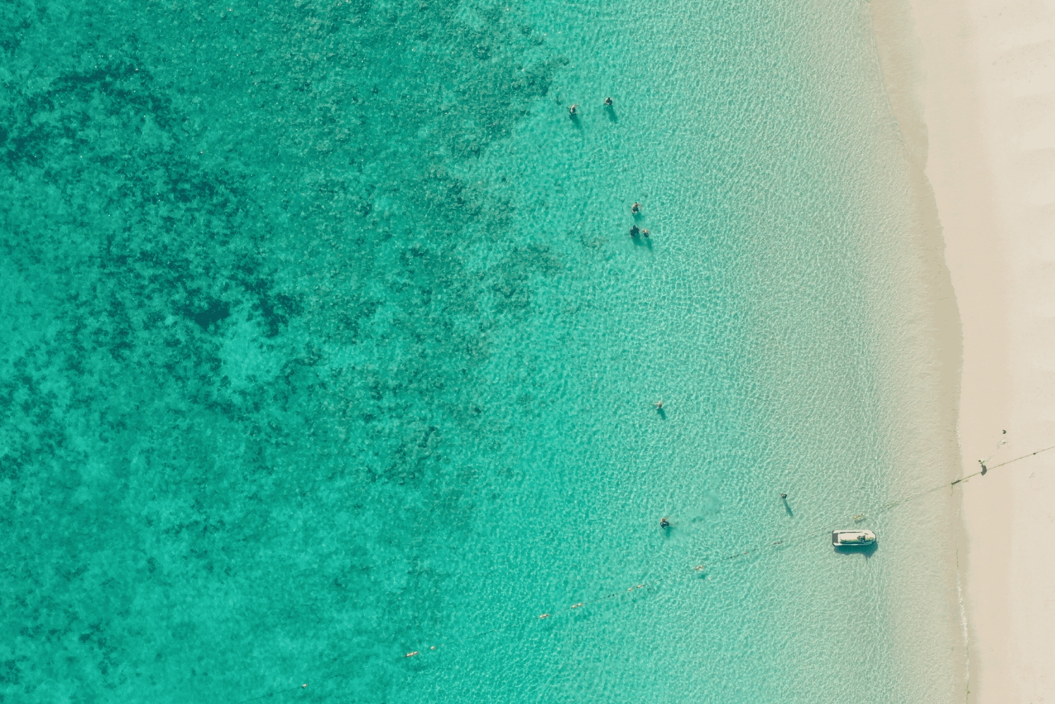 Från Bangkok: Privat dagsutflykt till Koh Larn – en öflykt