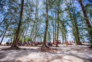 From Khao Lak: Bamboo & Phi Phi Islands, & Maya Bay Day Trip