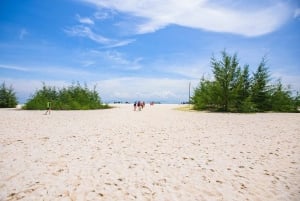 From Khao Lak: Bamboo & Phi Phi Islands, & Maya Bay Day Trip