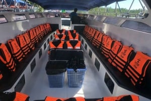 From Khao Lak: Bamboo & Phi Phi Islands, & Maya Bay Day Trip