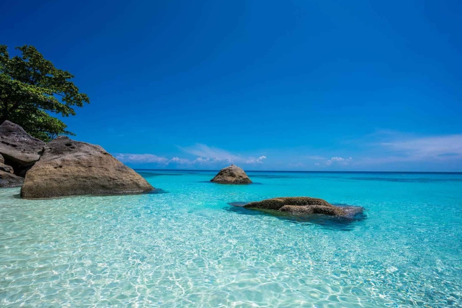 Vanuit Khao Lak & Phuket: Similan-eilanden snorkeldagtrip