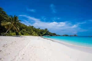 Fra Khao Lak og Phuket: Dagsudflugt til Similan-øerne med snorkling