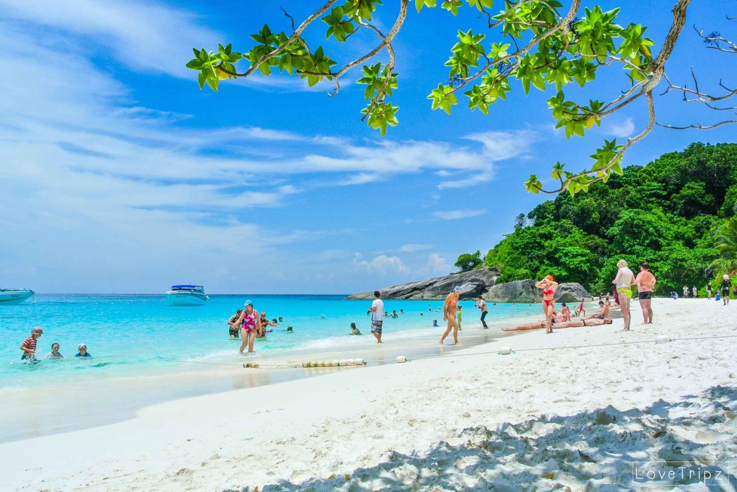 Von Khao Lak & Phuket: Ausflug zu den Similan Inseln mit dem Schnellboot