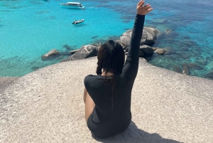 Von Khao Lak & Phuket: Ausflug zu den Similan Inseln mit dem Schnellboot