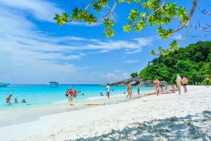 Von Khao Lak & Phuket: Ausflug zu den Similan Inseln mit dem Schnellboot