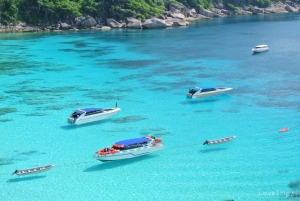 Von Khao Lak & Phuket: Ausflug zu den Similan Inseln mit dem Schnellboot