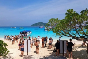 Von Khao Lak & Phuket: Ausflug zu den Similan Inseln mit dem Schnellboot