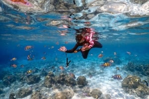Khao Lak: Excursión Premium a las Islas Racha con Snorkel y Almuerzo