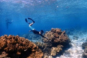 Khao Lak: Excursão Premium às Ilhas Racha com mergulho com snorkel e almoço