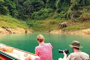 Desde Phuket o cualquier otro lugar: tour de 3 días por el lago Cheow Lan.