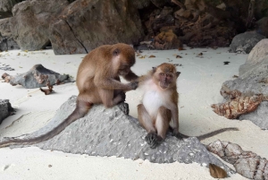 Z Krabi: Transfer na Phuket z wycieczką łodzią Phi Phi Longtail Boat Tour