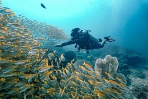 Ab Phi Phi: Halbtagestour Tauchen entdecken (2 Tauchgänge)