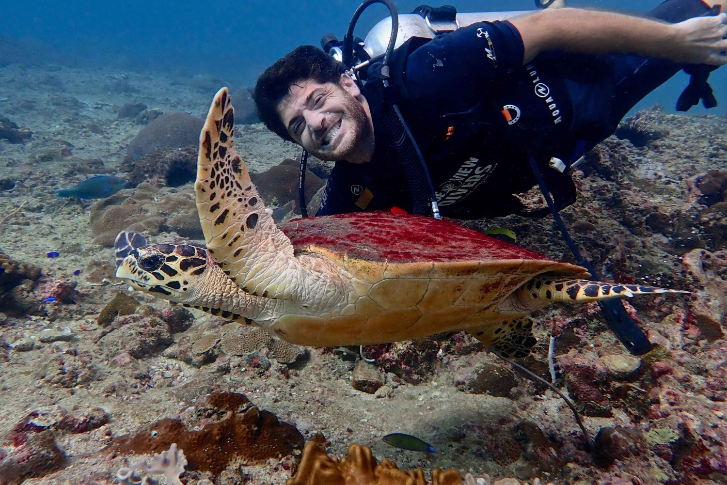 ピピ発：認定ダイバーのための半日トリップ（2ダイブ）