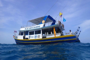 Fra Phi Phi: Halvdagsudflugt for certificerede dykkere (2 dyk)