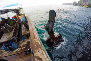 ピピ発：認定ダイバーのための半日トリップ（2ダイブ）