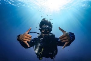 ピピ発：認定ダイバーのための半日トリップ（2ダイブ）