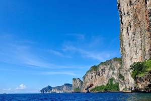 ピピ発：認定ダイバーのための半日トリップ（2ダイブ）