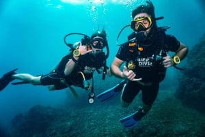 ピピ発：認定ダイバーのための半日トリップ（2ダイブ）