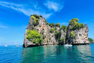 ピピ発：認定ダイバーのための半日トリップ（2ダイブ）