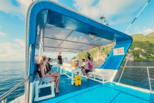 ピピ発：認定ダイバーのための半日トリップ（2ダイブ）