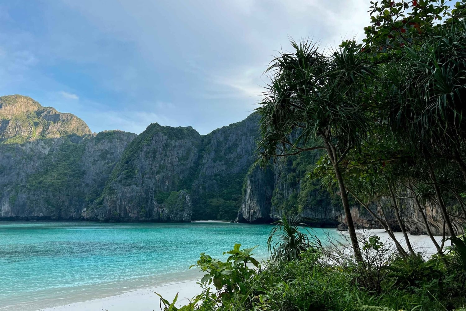 피피에서 출발: 스노클링이 포함된 마야 베이 반나절 롱테일 보트