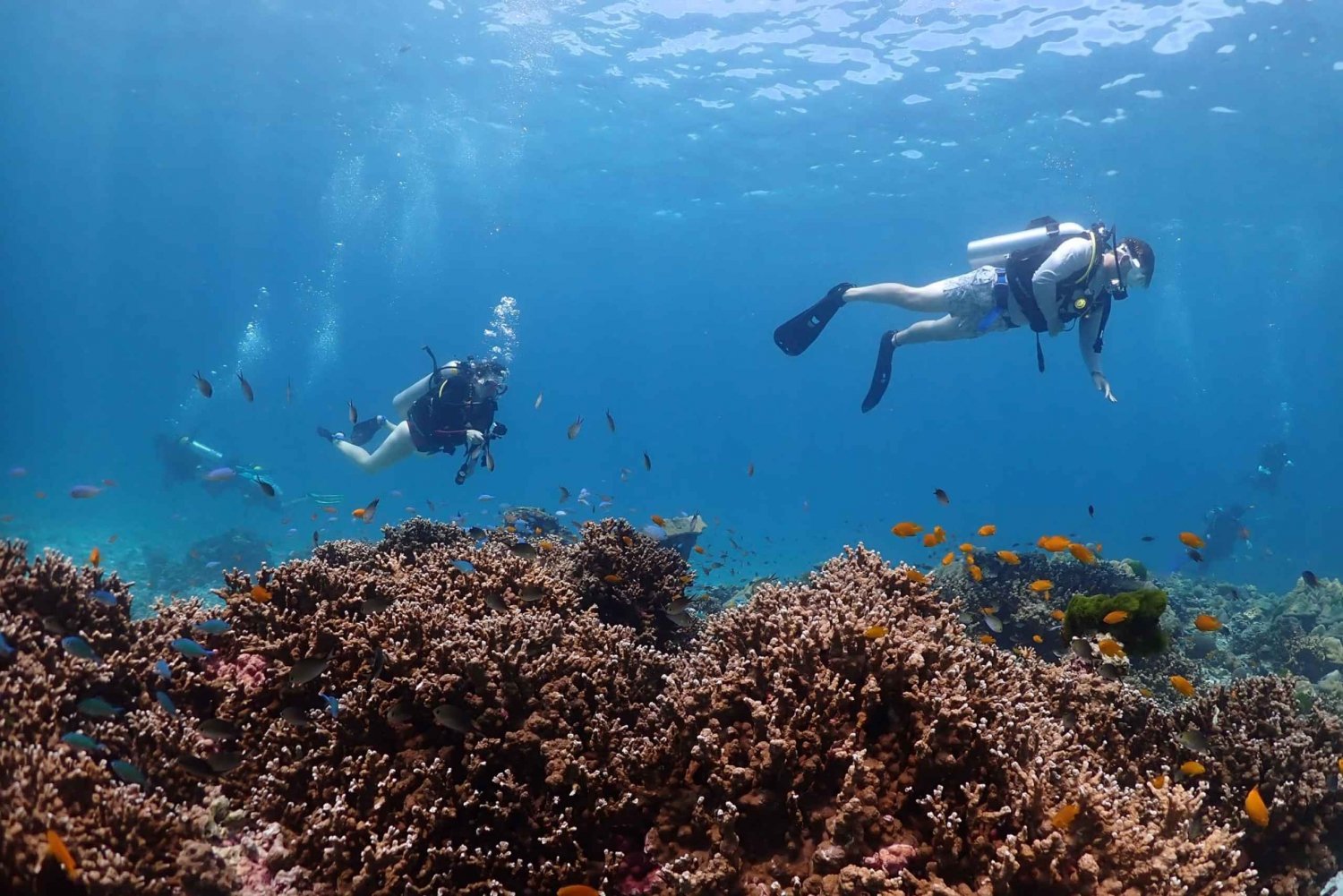 Fra Phuket: 3-dagers SSI/PADI Open Water Diver-dykkekurs