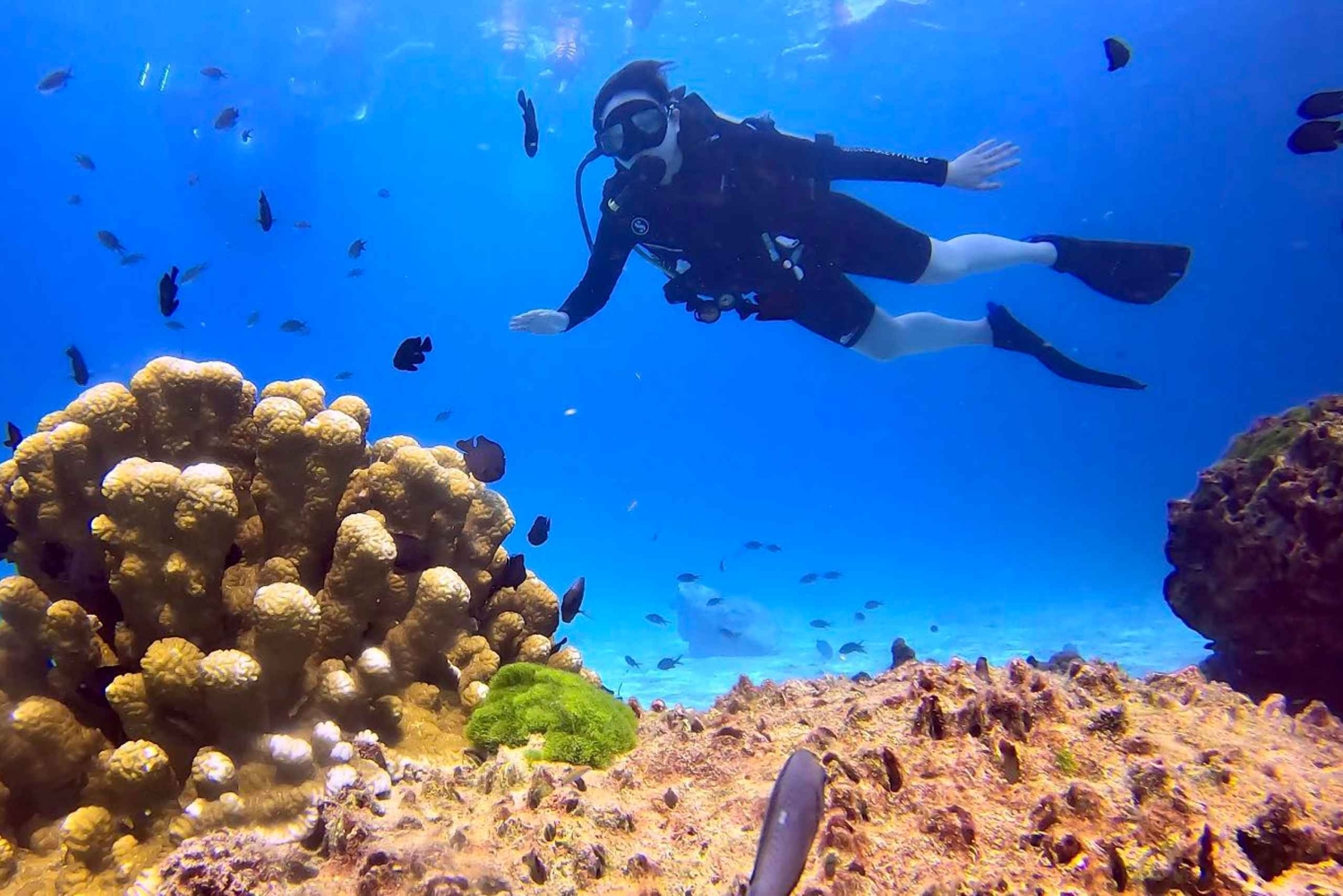 Fra Phuket: 3-dagers SSI/PADI Open Water Diver-sertifisering