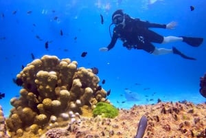 Från Phuket: 3 dagars SSI/PADI Open Water Diver-certifiering