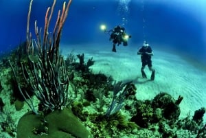 Au départ de Phuket : 3 jours de certification SSI/PADI Open Water Diver