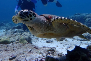 Fra Phuket: 3-dagers SSI/PADI Open Water Diver-sertifisering