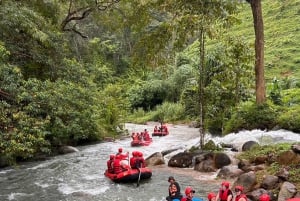 De Phuket: 5KM Rafting & ATV & Zipline & Alimentação de elefantes