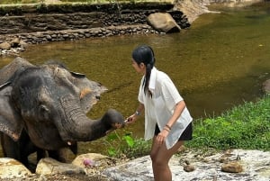 De Phuket: 5KM Rafting & ATV & Zipline & Alimentação de elefantes