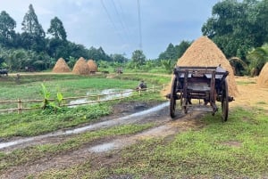 De Phuket: 5KM Rafting & ATV & Zipline & Alimentação de elefantes