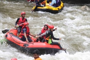 De Phuket: 5KM Rafting & ATV & Zipline & Alimentação de elefantes