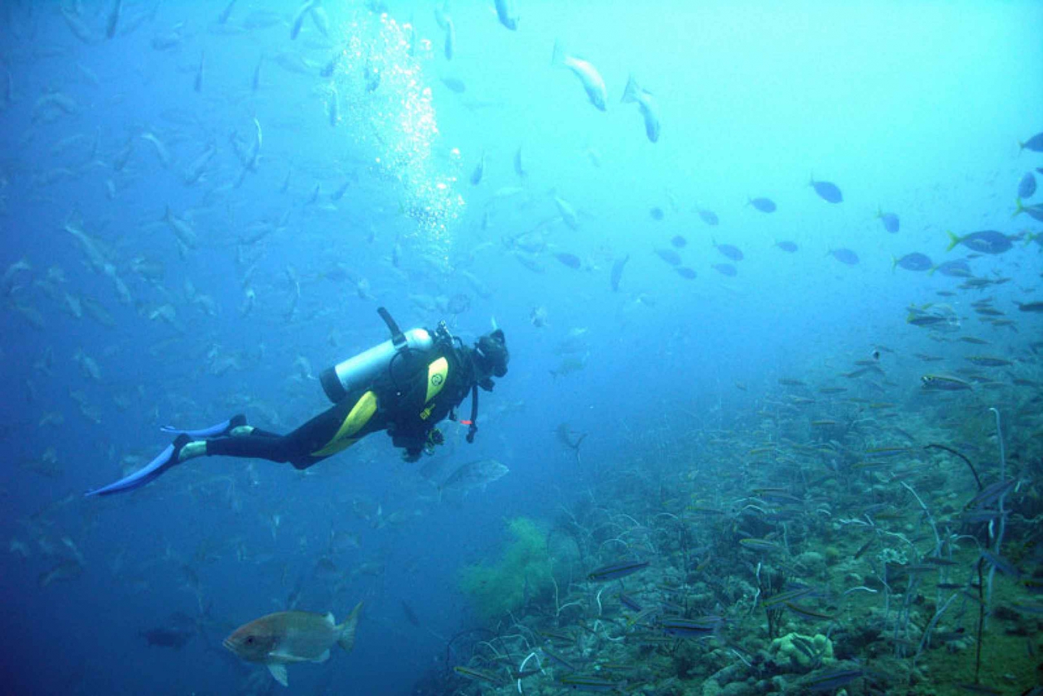 From Phuket: Advanced Open Water Diving Course