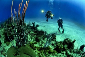 Vanuit Phuket: Advanced Open Water Diving-cursus