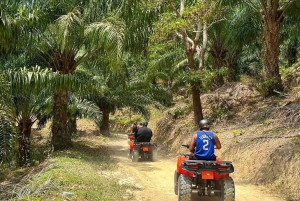 Von Phuket aus: ATV-Aussichtsrouten mit Blick auf Karon und Patong