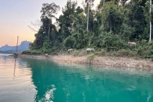 From Phuket: Cheow Lan Lake 2Day Guided Tour with Activities