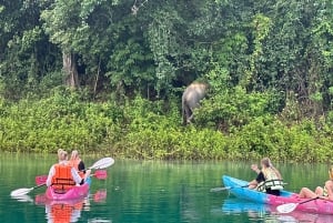 From Phuket: Cheow Lan Lake 2Day Guided Tour with Activities