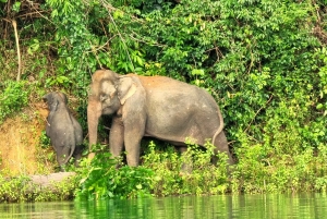 Z Phuket 2-dniowa wycieczka z przewodnikiem po jeziorze Cheow Lan z atrakcjami